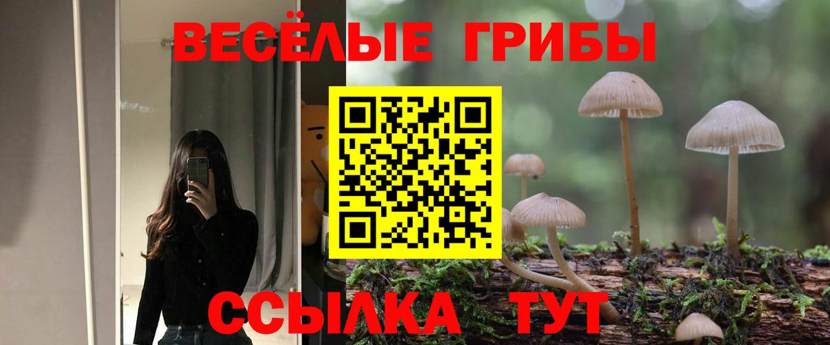 Галлюциногенные грибы Cubensis Краснодар